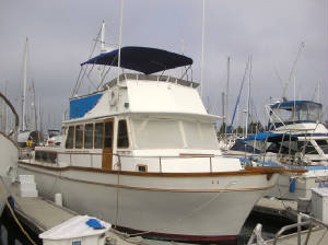 Bimini/DavidSapper005.JPG